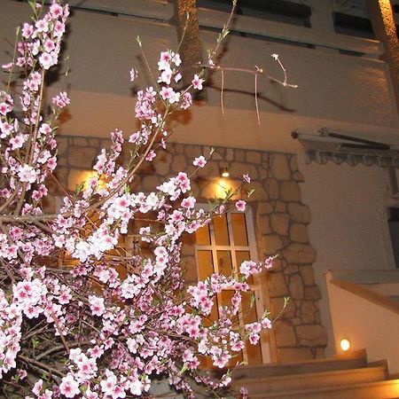 Villa Kokkinos Potos Dış mekan fotoğraf